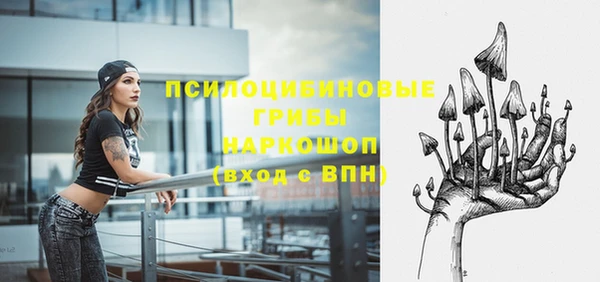 ешки Богородицк