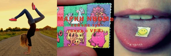 метадон Богданович