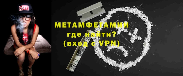 метадон Богданович