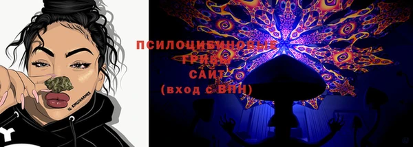 метадон Богданович
